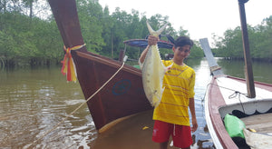 Half Day Mangrove Fishing and Relaxing Adventure from Khao Lak (DCT)