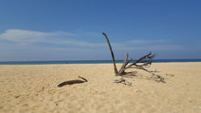 Half Day Local Reef Snorkeling and Deserted Beach with Lunch from Khao Lak (DCT)