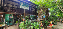 Half-day Thai cooking class in Chiang Mai (F&F)