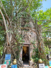 Full Day Mangrove Forest Conservation Centre (DSTH)