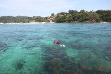 Full Day Phi Phi Island Tour by Private Speedboat from Koh Lanta (OPL)