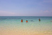 Full Day Phi Phi and Bamboo Island by Speedboat from Phuket (DSTH)