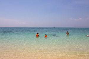 Full Day EARLY Phi Phi and Bamboo Islands by Speedboat from Phuket (DSTH)