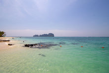 Full Day EARLY Phi Phi and Bamboo Islands by Speedboat from Phuket (DSTH)