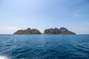 Full Day EARLY Phi Phi and Bamboo Islands by Speedboat from Phuket (DSTH)