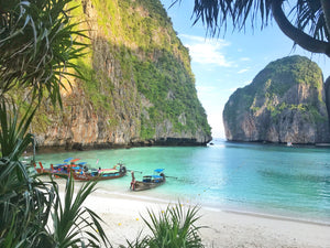 Full Day Phi Phi Early Bird Program by Speedboat from Phuket (SAW)