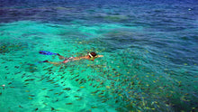 Full Day Phi Phi Early Bird Program By Speedboat From Phuket (SAW)