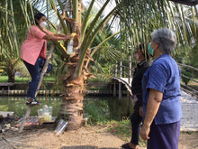 Full Day Exploring The Local Life with Maeklong Railway Market (DSTH)