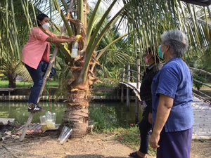 Full Day Exploring The Local Life with Maeklong Railway Market And Amphawa Floating Market (DSTH)