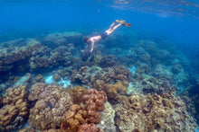 Full Day Early Risers Surin Island Tour By Speed Catamaran From Khao Lak (SSH)