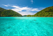 Full Day Early Risers Surin Island Tour By Speed Catamaran From Khao Lak (SSH)