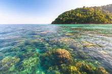 Full Day Early Risers Surin Island Tour By Speed Catamaran From Khao Lak (SSH)
