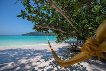 Full Day Early Risers Surin Island Tour By Speed Catamaran From Khao Lak (SSH)