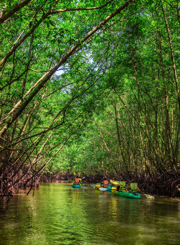 Full Day Twilight Sea Canoe from Phuket PAT