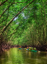 Full Day Twilight Sea Canoe From Phuket (PAT)