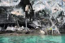 Full Day Phi Phi Island By Speedboat From Phuket (ALP)