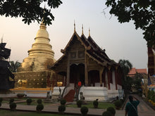 Half Day Chiang Mai Temples From Chiang Mai - AM or PM tour (F&F)