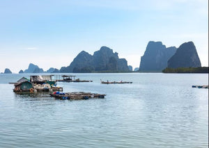 Full Day James Bond Island Sightseeing By Longtail Boat From Phuket (JBD)