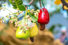 Full Day Phuket Sightseeing and Shopping from Khao Lak (KLD)