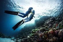 Full Day Similan Diving Trip from Khao Lak (RYD)