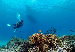 Full Day Raya Noi Diving Trip from Phuket (RYD)