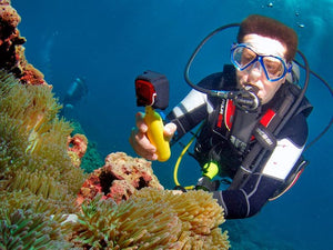 Full Day Raya Noi Diving Trip from Phuket (RYD)