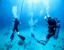 Full Day Phi Phi Diving Trip from Phuket (RYD)