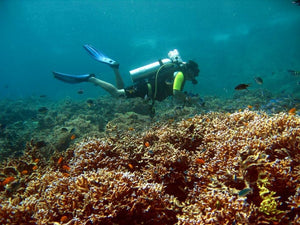 Full Day Raya Yai Discover Scuba Diving from Phuket (RYD)