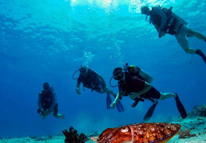 Full Day Raya Yai Discover Scuba Diving from Phuket (RYD)