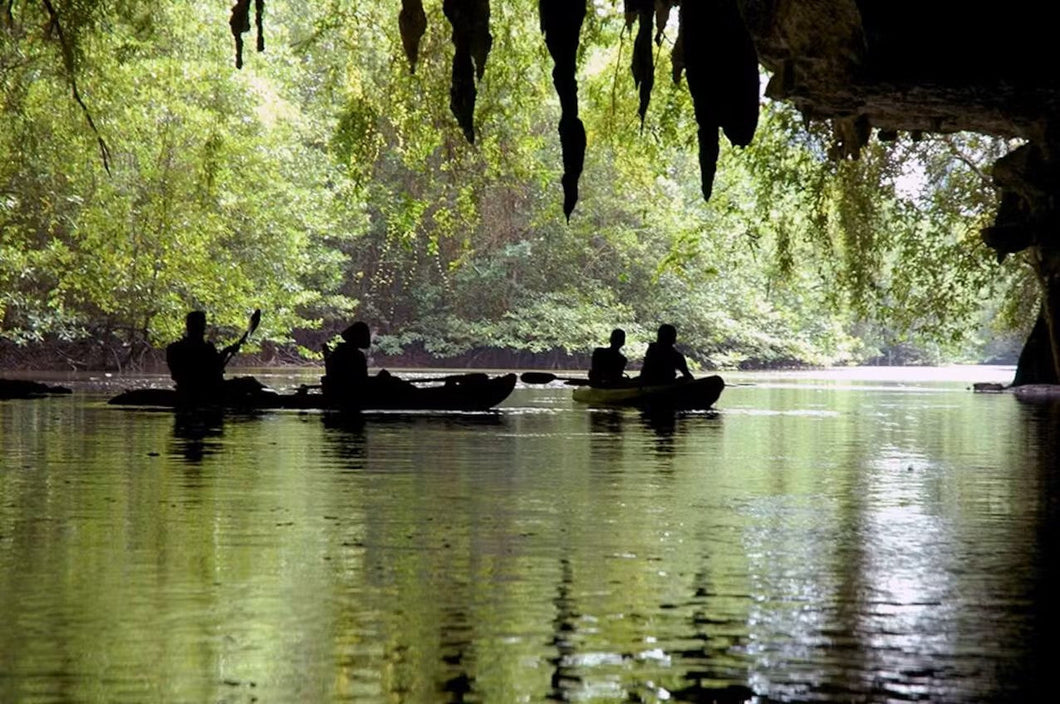 Half Day Mangrove and Caves Kayaking at Baan Bor Thor (CSY)