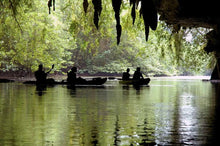 Half Day Mangrove and Caves Kayaking at Baan Bor Thor From Krabi (CSY)