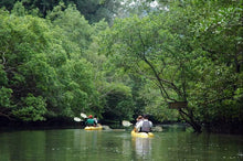 Full Day Mangrove and Caves Kayaking at Baan Bor Thor From Krabi (CSY)