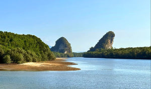 Half Day City Tour and Local Life from Krabi (DSTH)