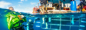 Full Day TUNE UP - Diving Refresh Course From Phuket (RYD)