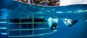 Full Day TUNE UP - Diving Refresh Course From Phuket (RYD)