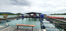 Half Day Phuket Explore The Fishery Raft Intara Farm (DSTH)